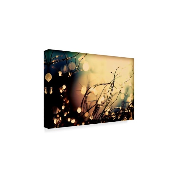 Incredi 'Summer Nights 2' Canvas Art,22x32